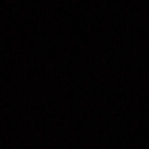 Meet your Posher, Precious